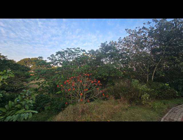 660M² VACANT LAND FOR SALE IN PALM LAKES ESTATE